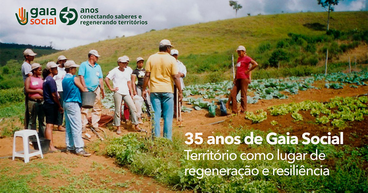 Featured image for “Por que o território é chave para a transição justa e sustentável”