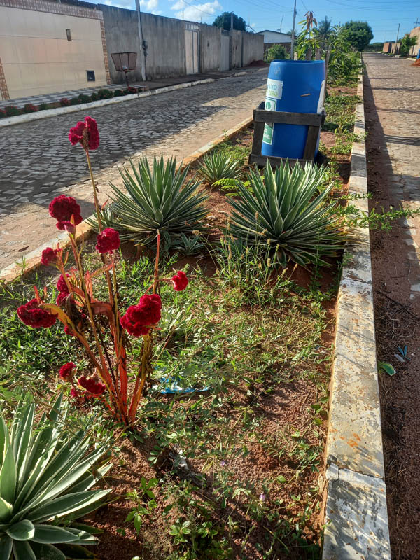 Featured image for “Projeto Serra do Mel Lixo Zero”